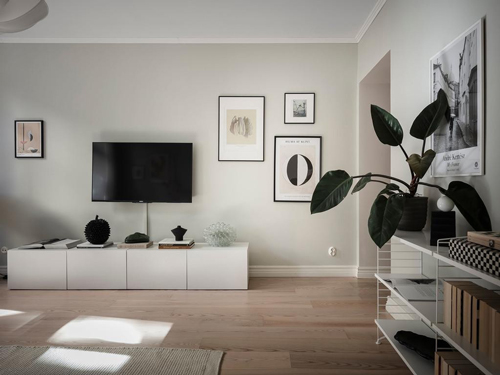 گیاهان تزئینی بزرگ جزو بهترین اکسسوری ها در همه ی سبکها هستند